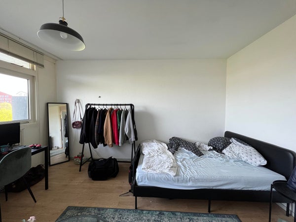 For rent: Groningen