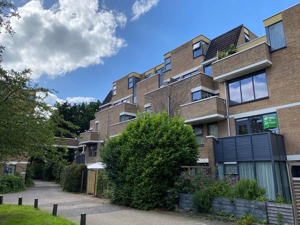 For rent: Groningen