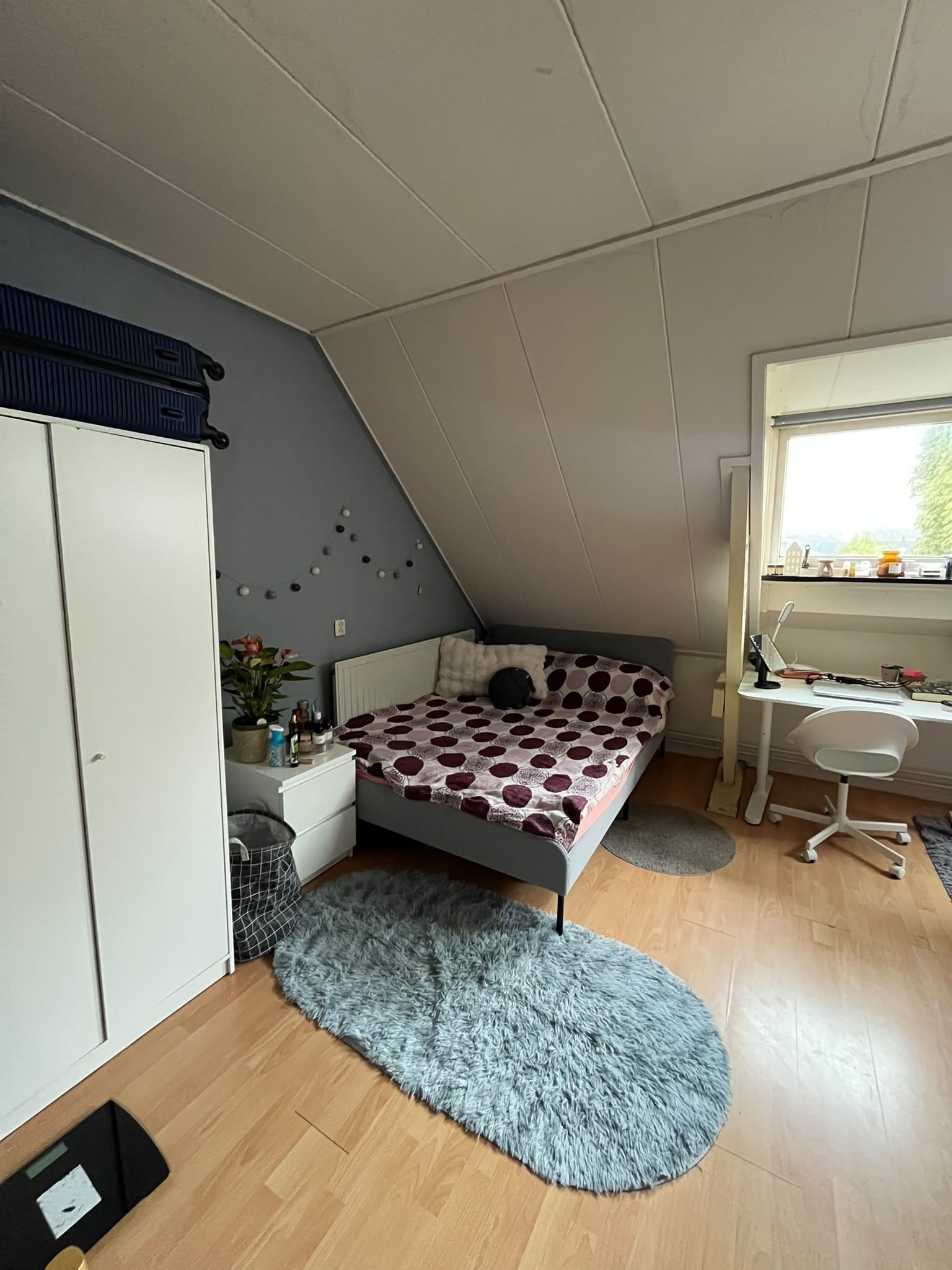 For rent: Enschede