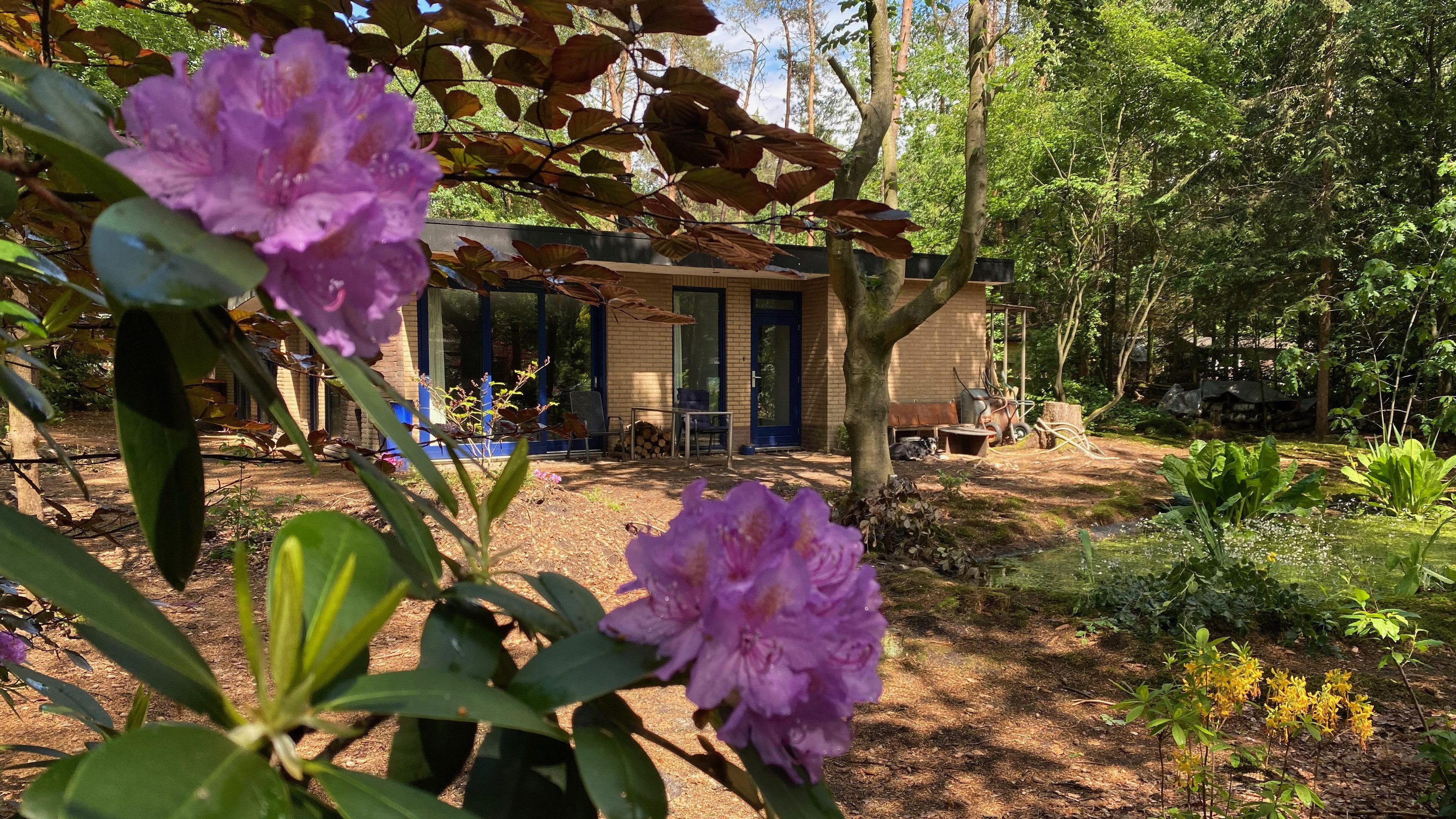 For rent: Holten / €1400.00 p.m. / 100.00m2