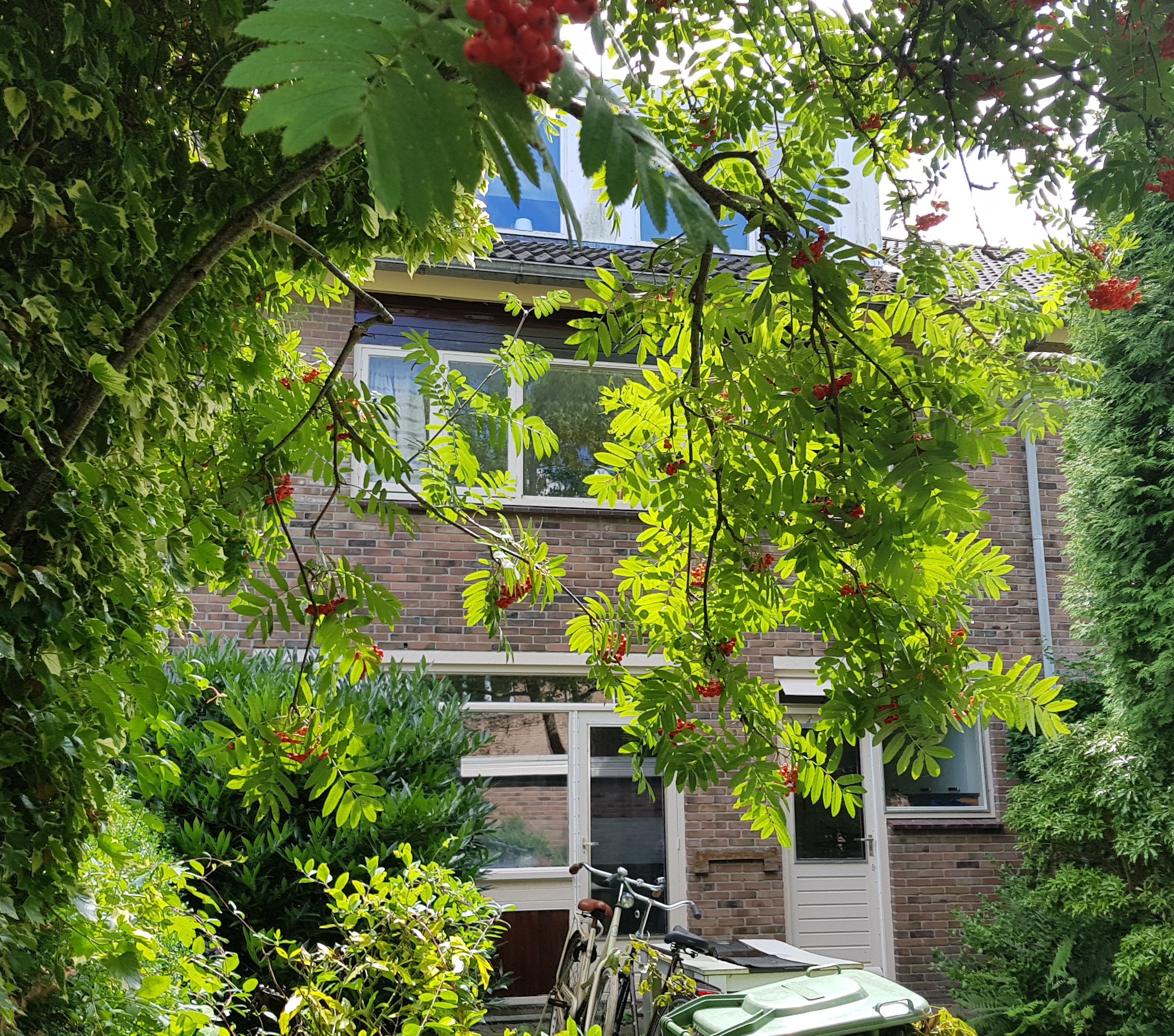 Te huur: Groningen