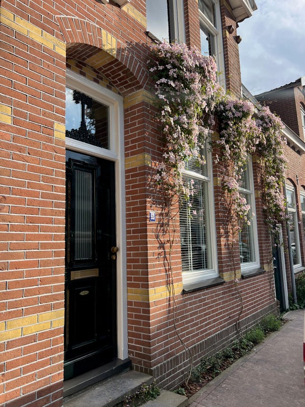 Te huur:  Zaandam  / €2500 p.m. / 95m2