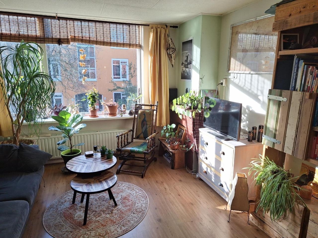 For rent: Groningen