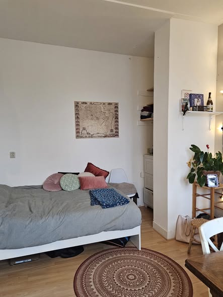 Te huur: Groningen / €516,40 p.m. / 17,00m2