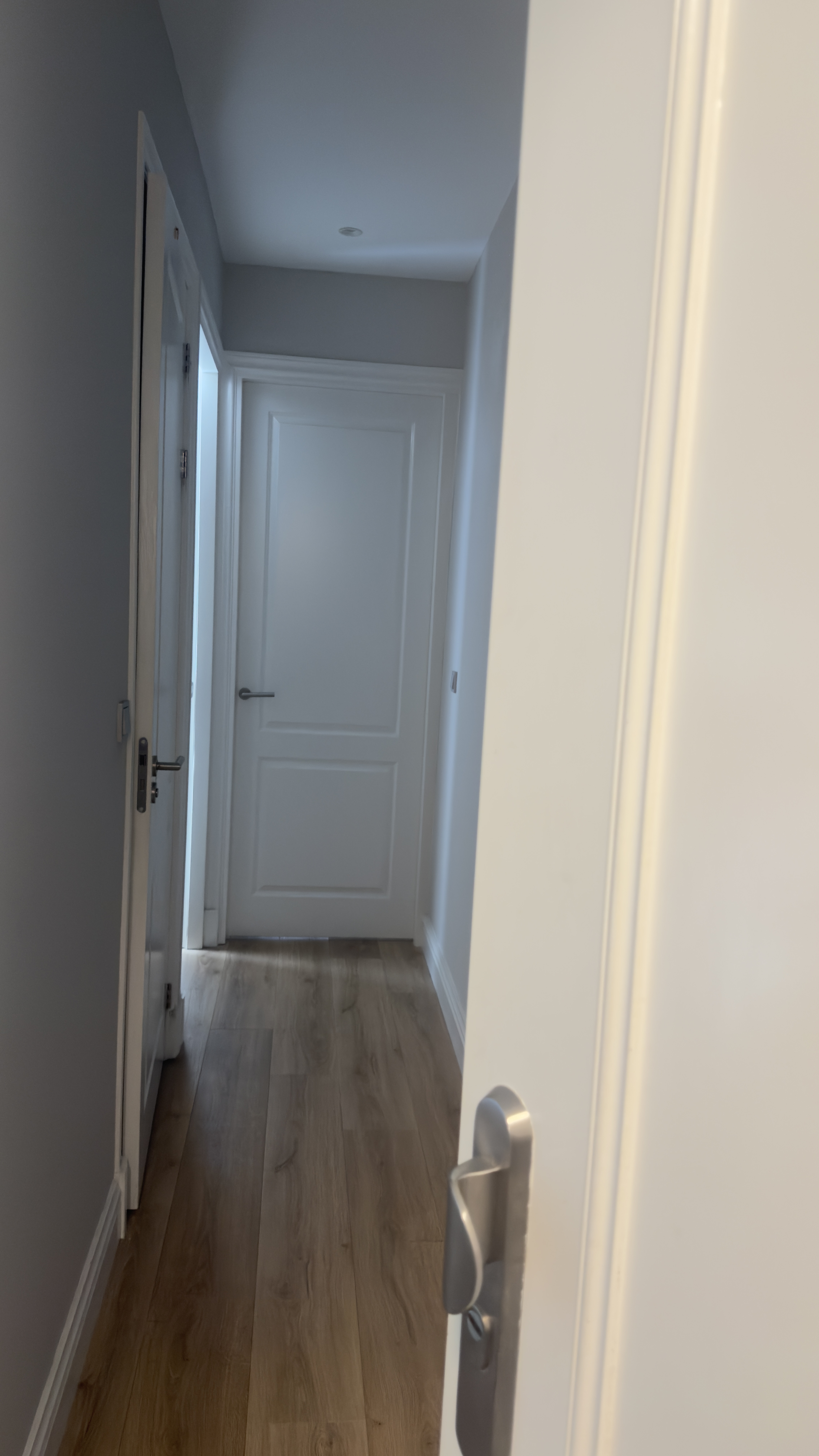 For rent: Amsterdam