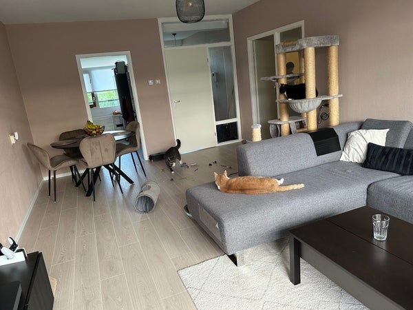 Te huur: Katwijk (ZH)