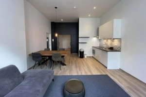 For rent: Maastricht / €1259.00 p.m. / 50.00m2