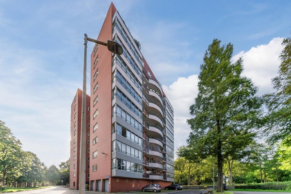 For rent: Amsterdam