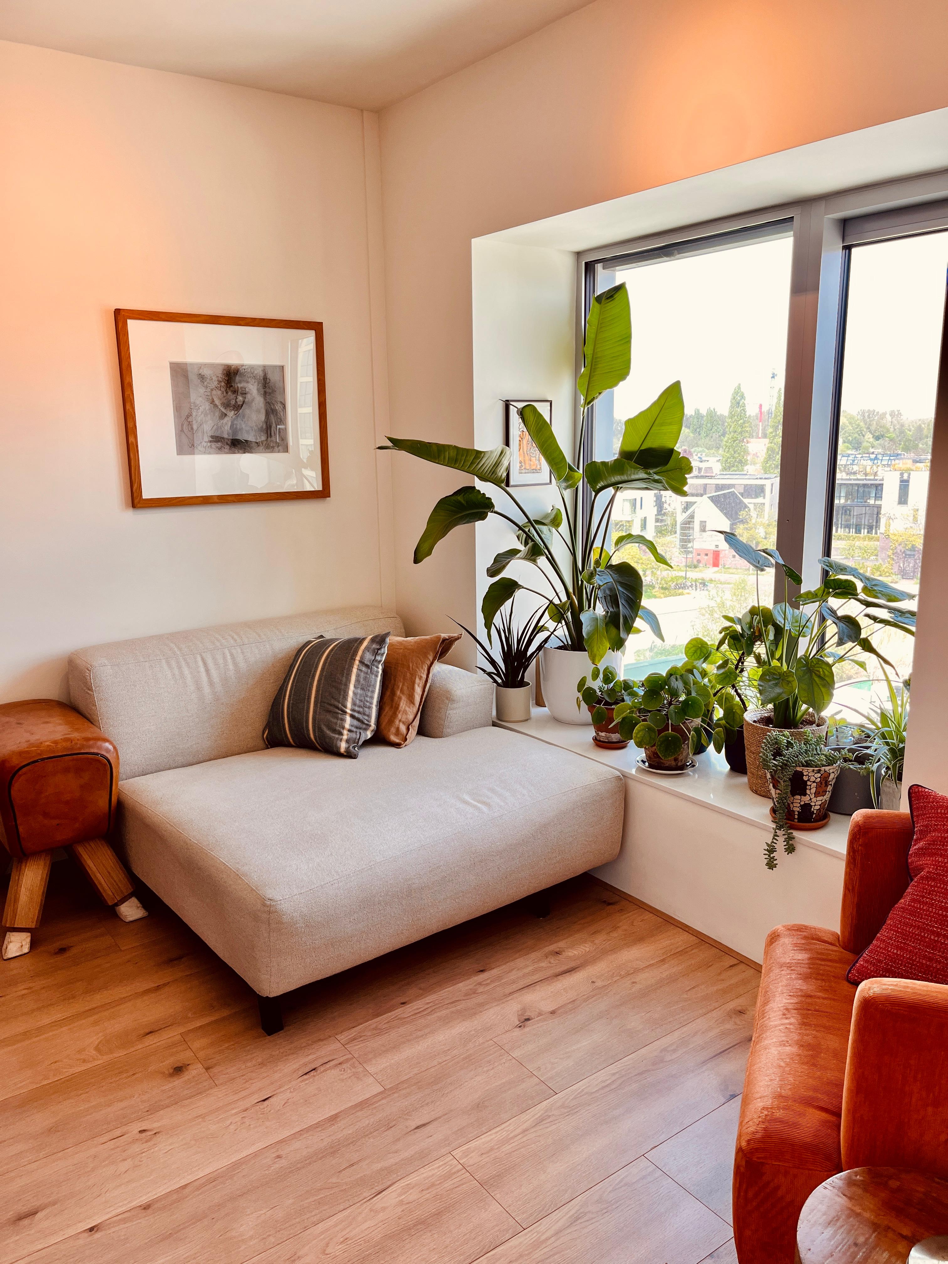Te huur: Amsterdam