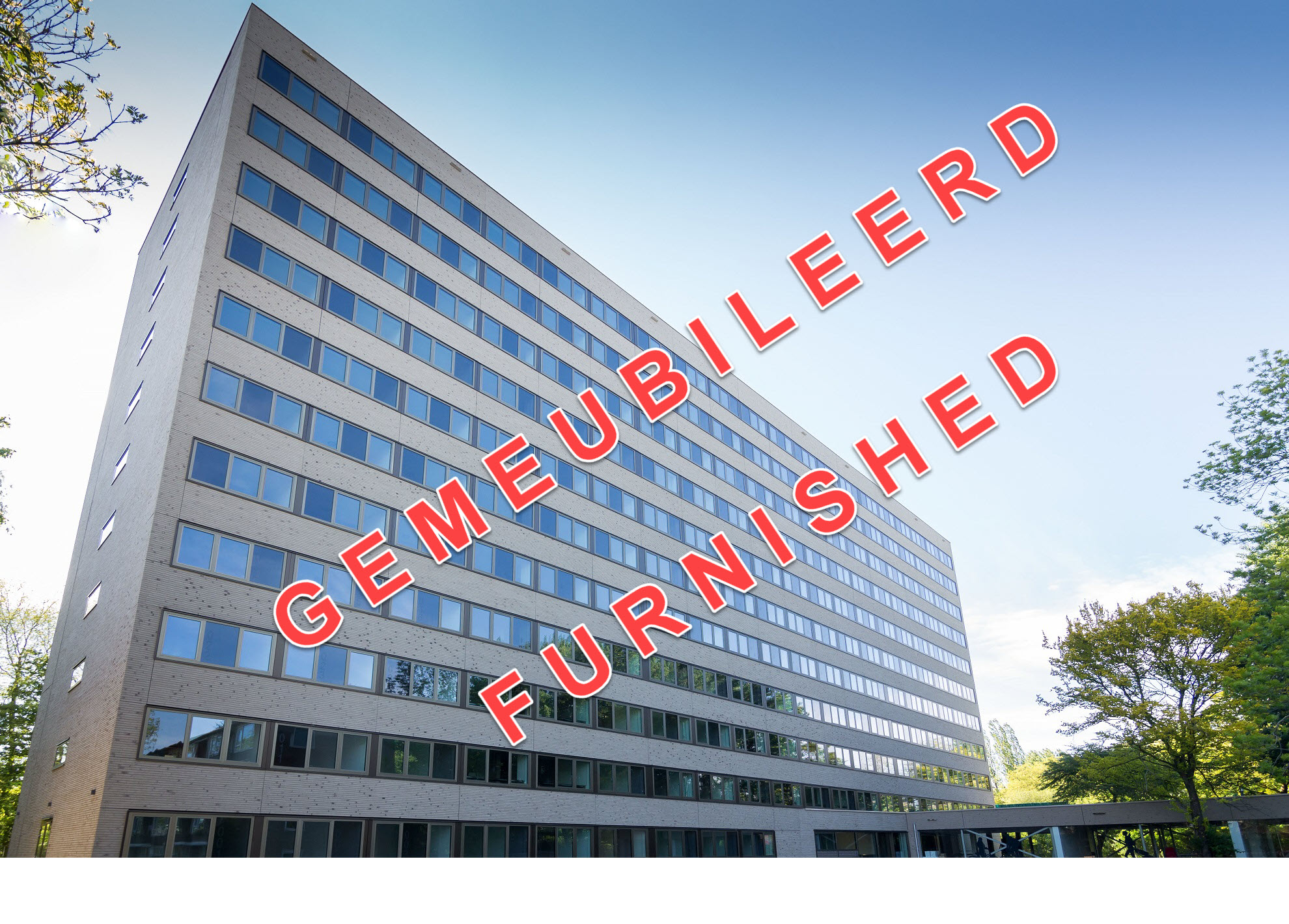 Te huur: Groningen / €805,39 p.m. / 19,00m2