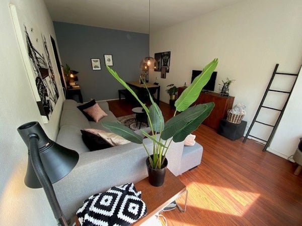 For rent: Rotterdam
