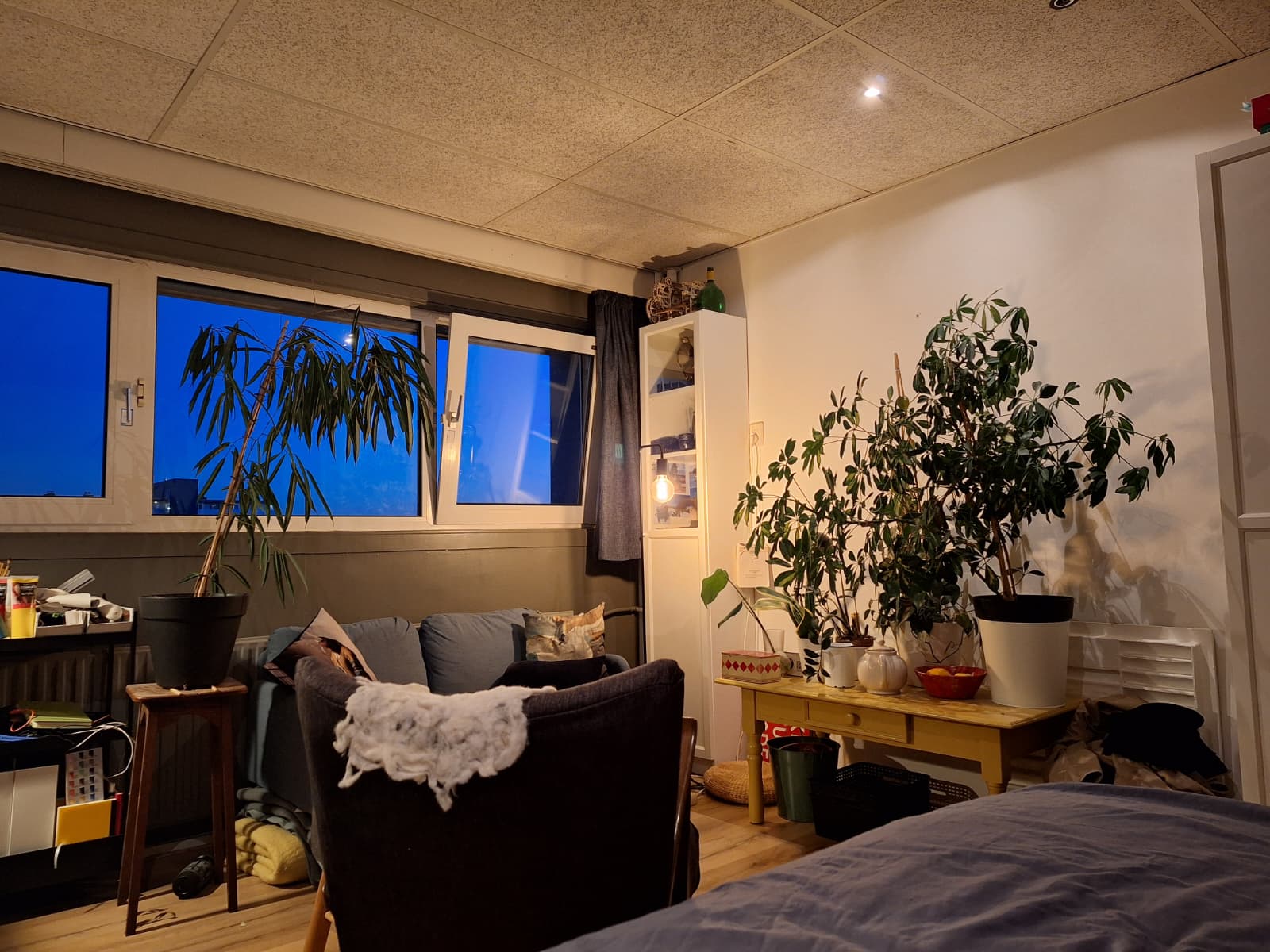 Te huur: Delft / €515,48 p.m. / 17,00m2