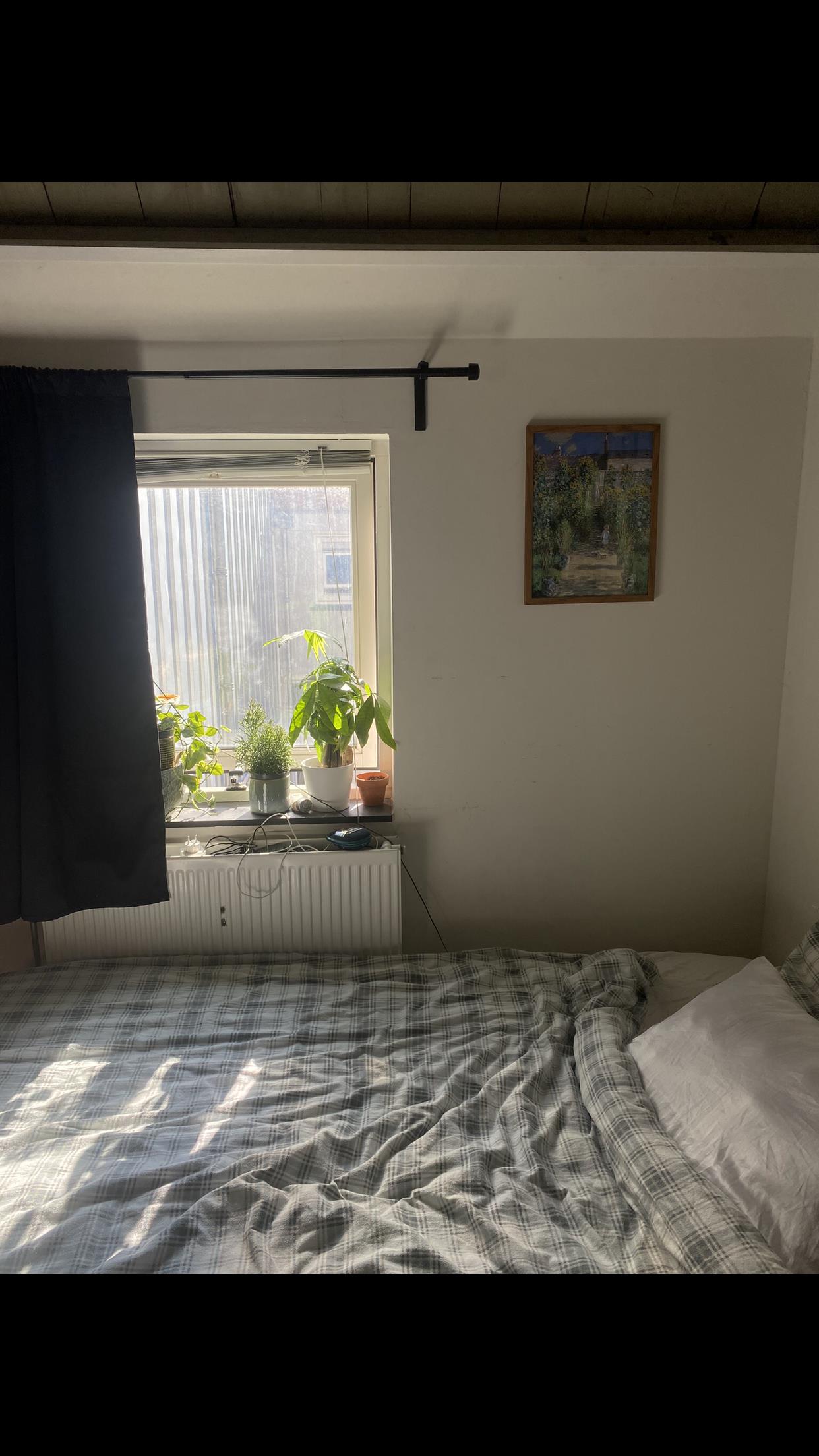 For rent: Den Haag / €480.00 p.m. / 18.00m2
