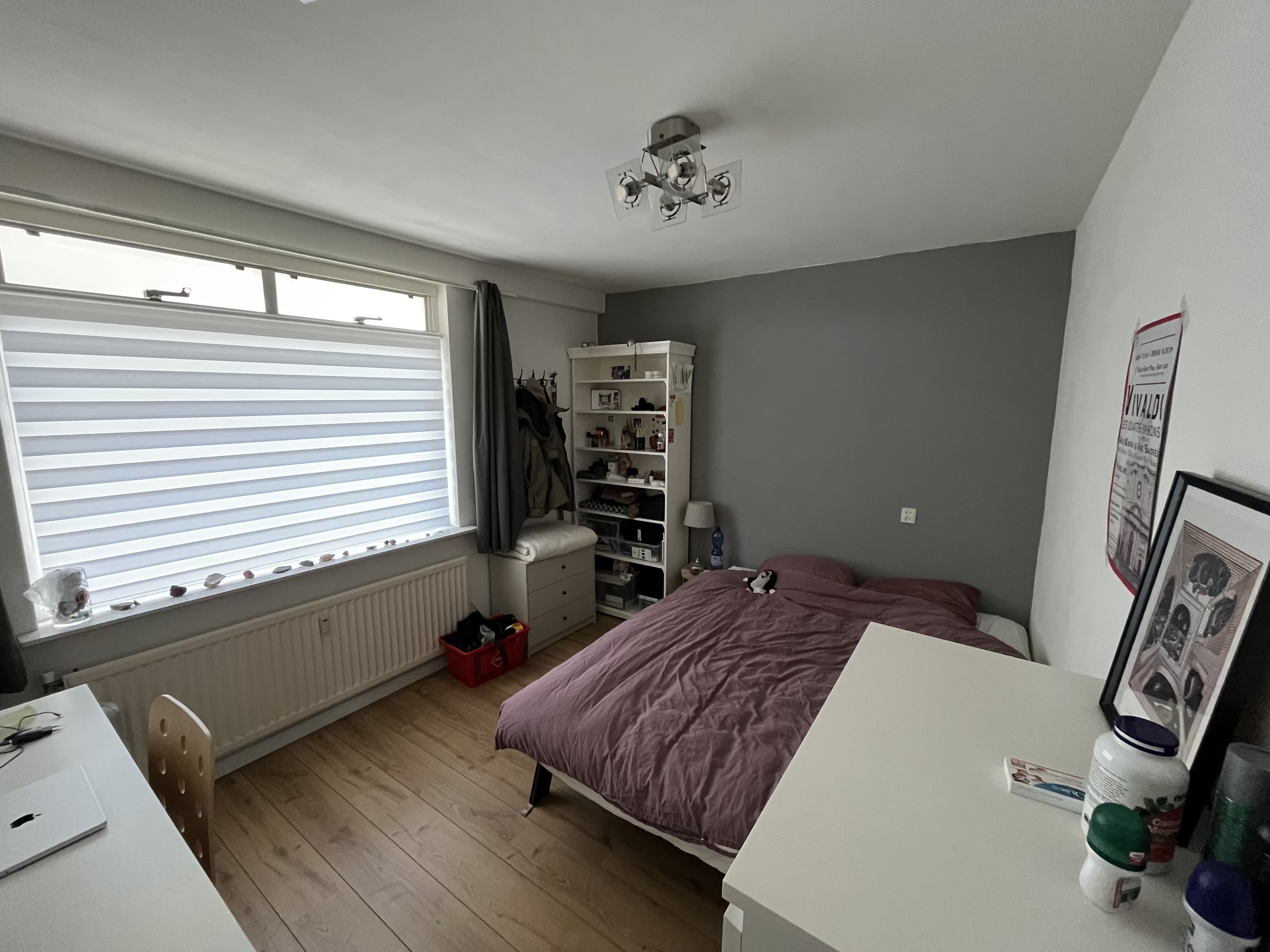 For rent: Groningen