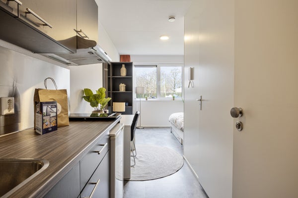 Te huur: Maastricht / €781 p.m. / 17m2