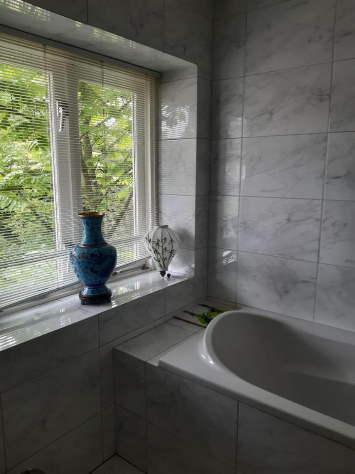 For rent: Delft / €850.00 p.m. / 42.00m2