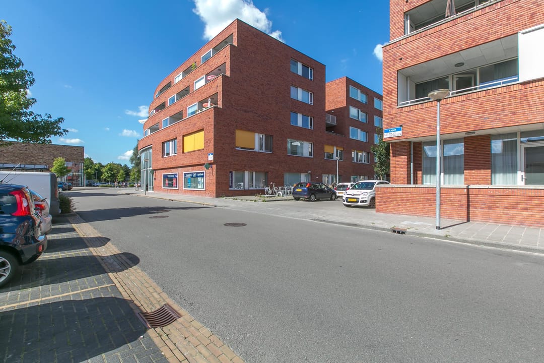For rent: Groningen