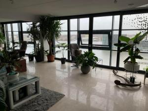 For rent: Amsterdam