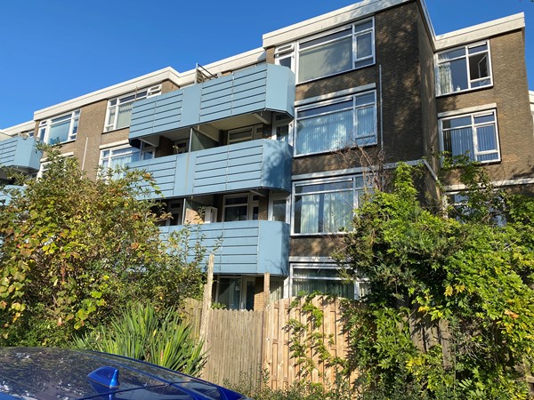 For rent: Amsterdam