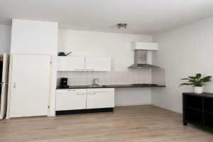For rent: Alphen aan den Rijn