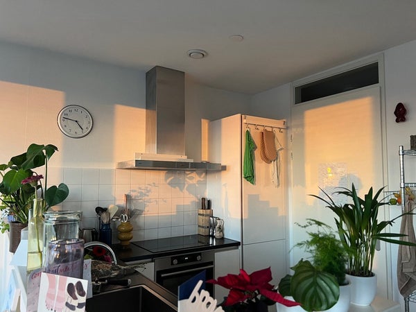 For rent: Utrecht