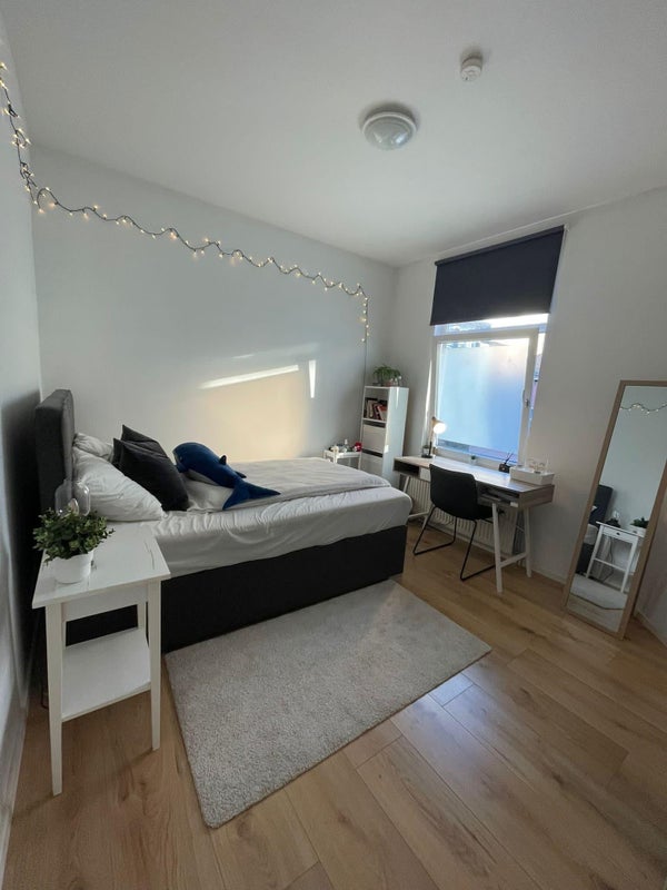 Te huur:  Den Haag  / €550,00 p.m. / 37,00m2