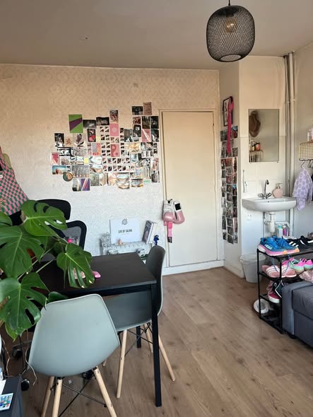 For rent: Groningen