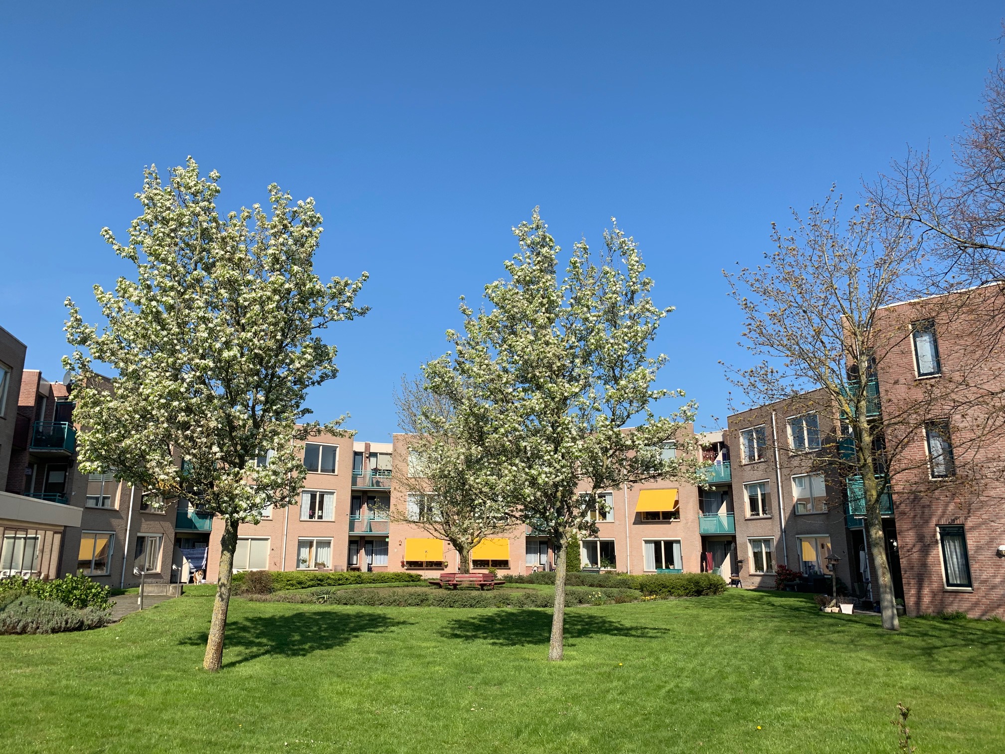 For rent: Sneek / €705 p.m. / 58m2