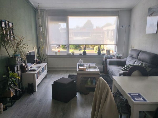 For rent: Hillegom / €687 p.m. / 46m2