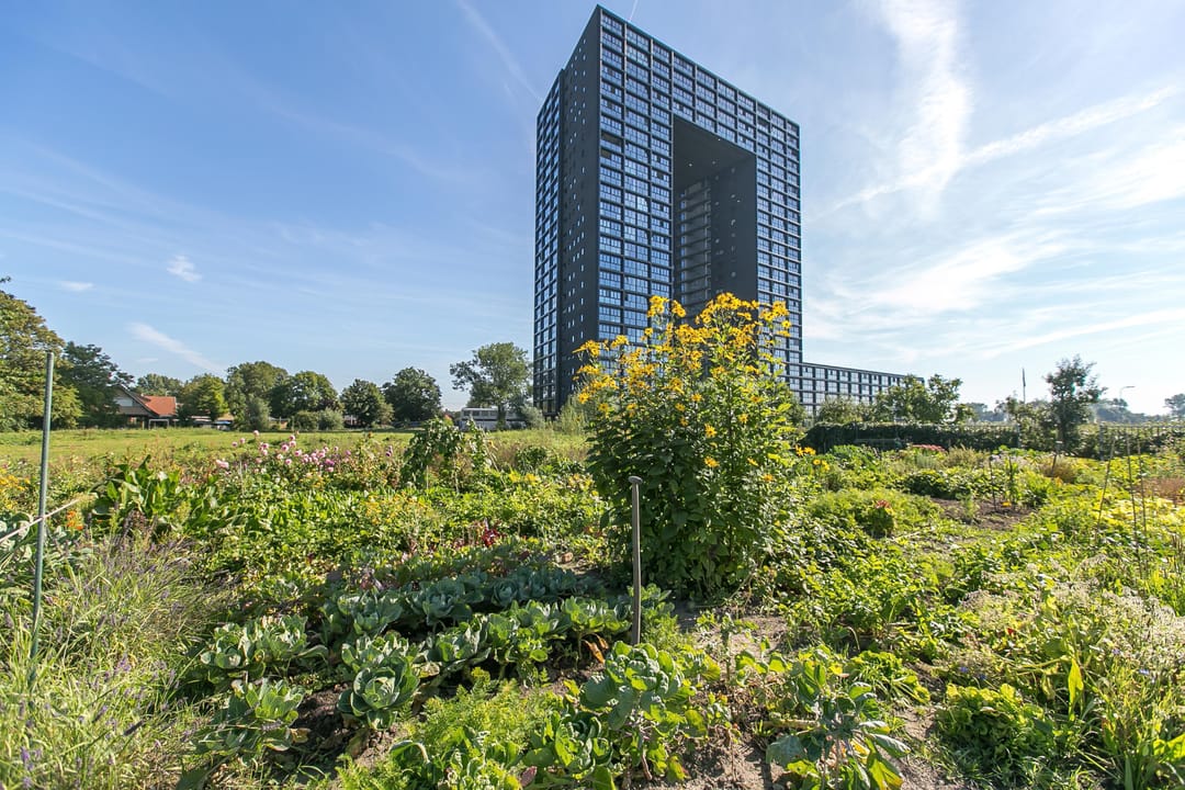 Te huur: Groningen