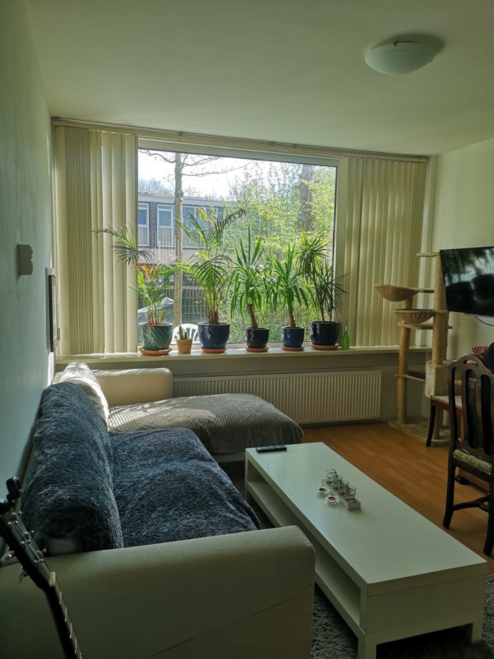Te huur: Rotterdam