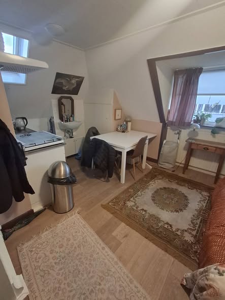 Te huur: Groningen / €467,50 p.m. / 17,00m2