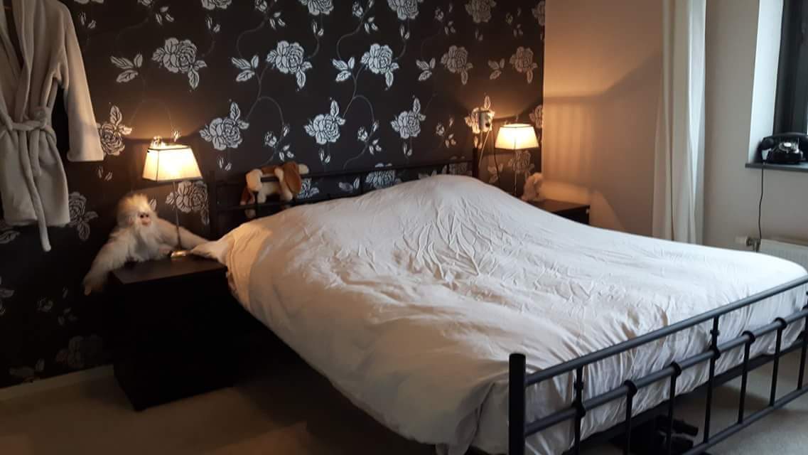 For rent: Amsterdam
