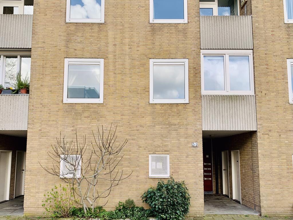 For rent: Amsterdam