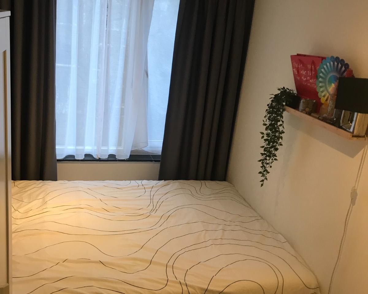 For rent: Amsterdam
