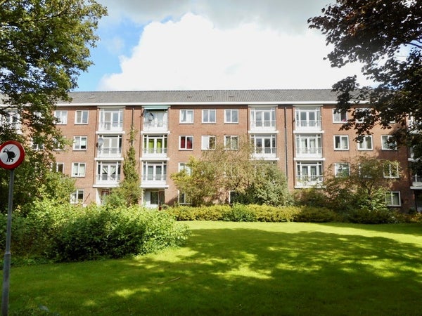 For rent: Amsterdam
