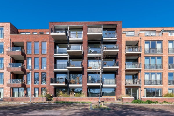 For rent: Haarlem