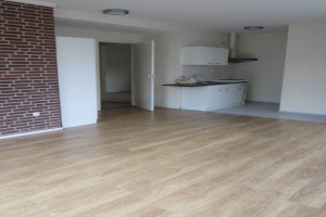 For rent: Arnhem / €1400.00 p.m. / 100.00m2