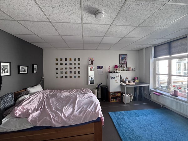 For rent: Maastricht / €875.00 p.m. / 20.00m2