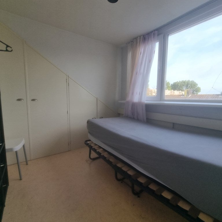 Te huur: Haarlem