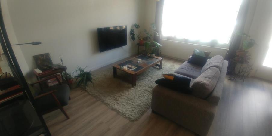 For rent: Amsterdam