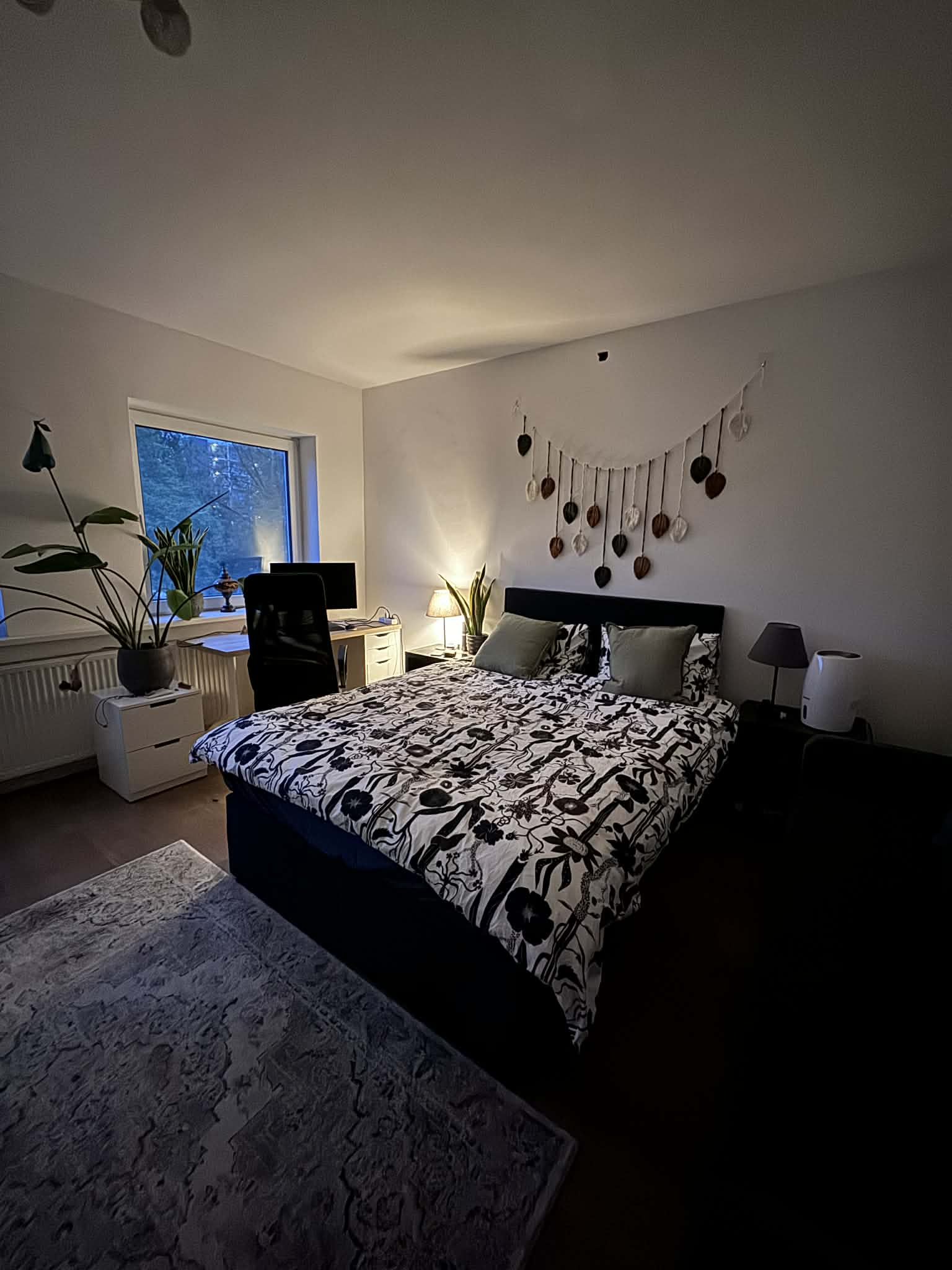 For rent: Amsterdam