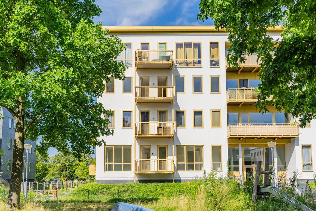 For rent: Amsterdam