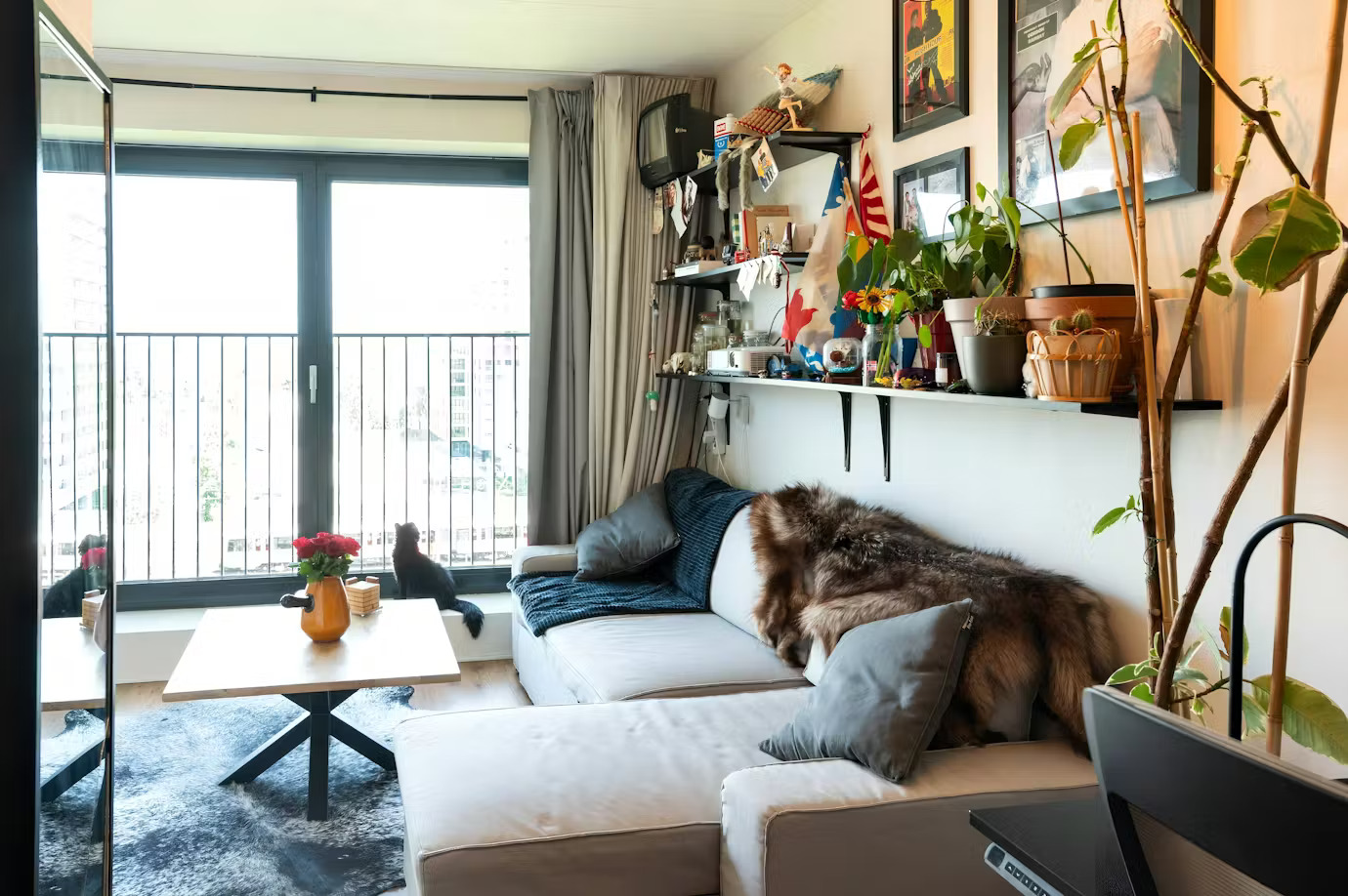 For rent: Amsterdam