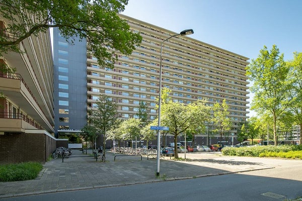 For rent: Delft