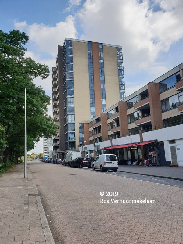 For rent: Utrecht