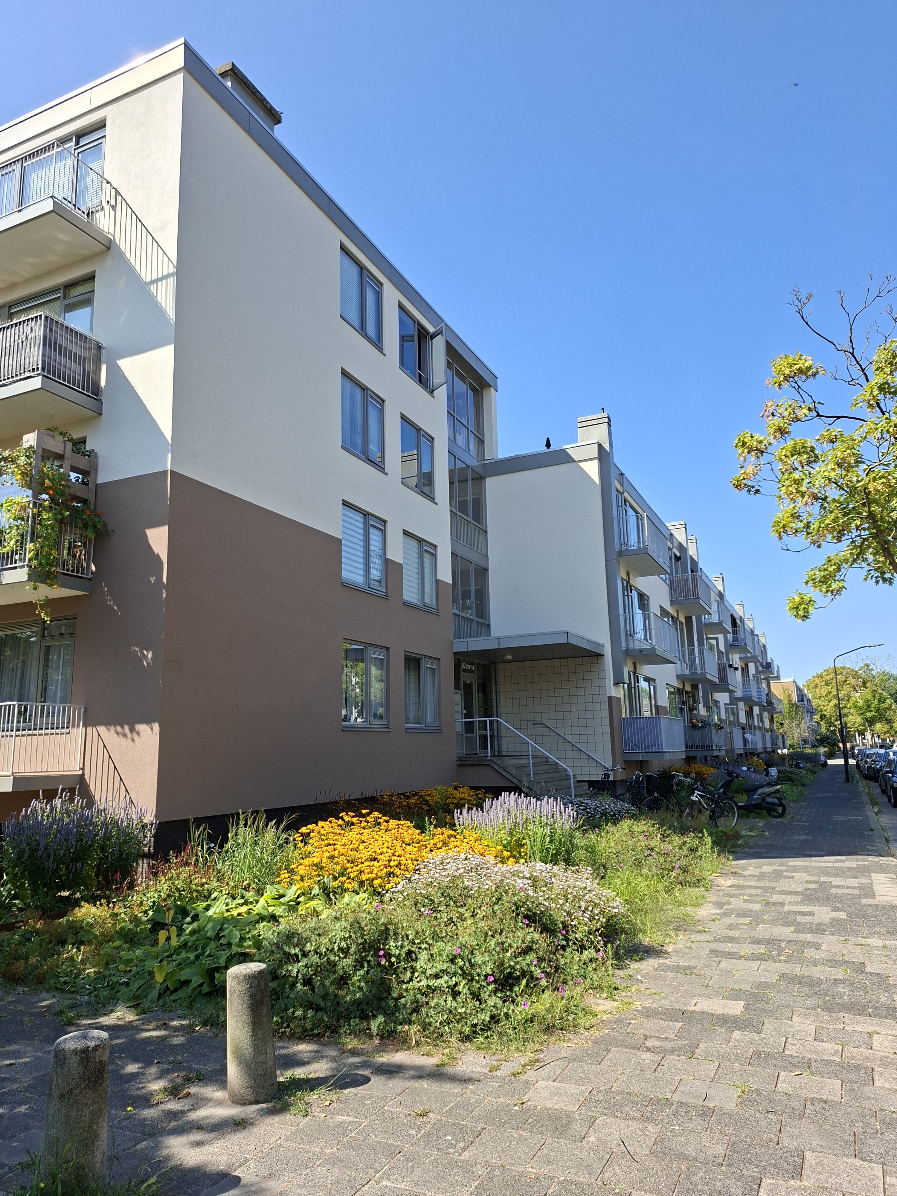 For rent: Leiden