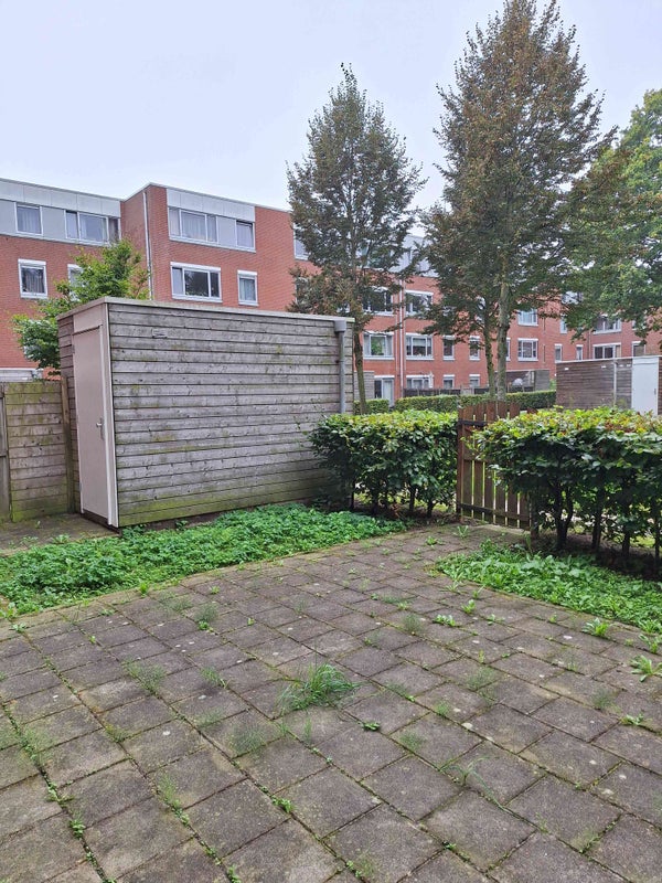 Te huur: Amsterdam
