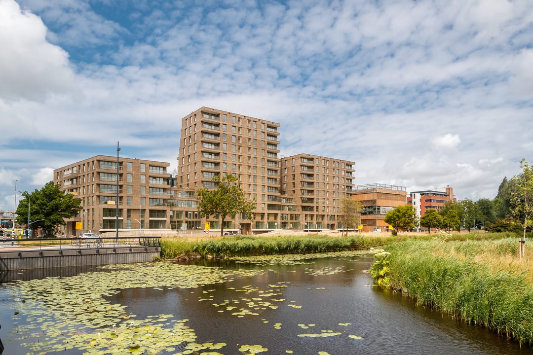 For rent: Haarlem