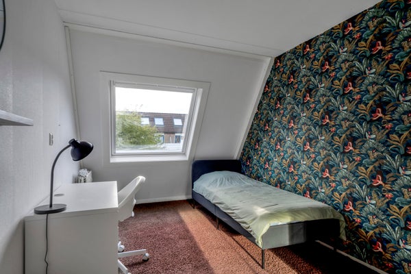 Te huur: Rotterdam